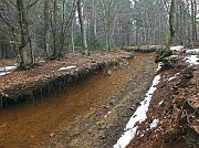 10 malconcia la strada,, risalgo per il bosco...